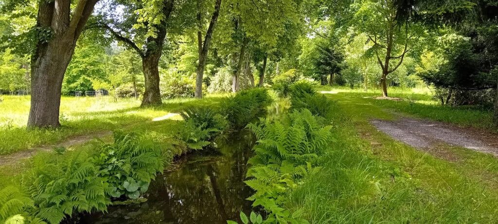 terénní setkání v Jablunkově